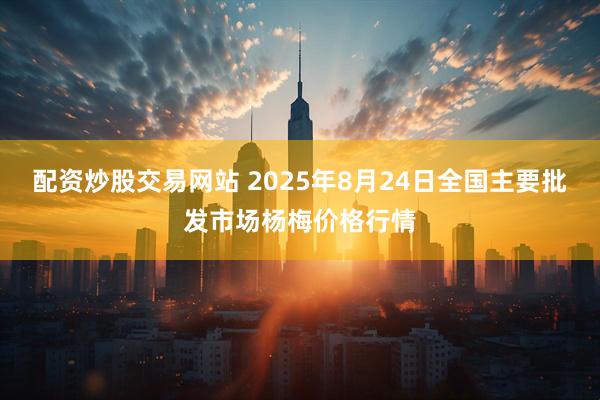 配资炒股交易网站 2025年8月24日全国主要批发市场杨梅价格行情