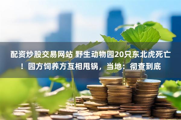 配资炒股交易网站 野生动物园20只东北虎死亡！园方饲养方互相甩锅，当地：彻查到底